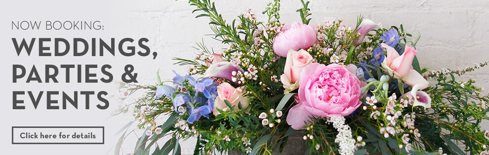 Beautiful Seasonal Flowers Banner